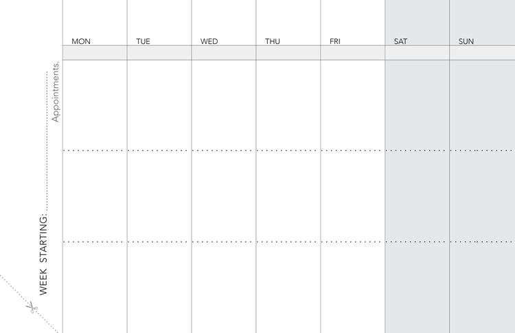 WeekDate Whenever weekly paper planner — Weekly appointments page